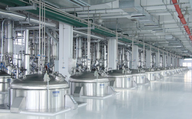 我們的服務(wù)